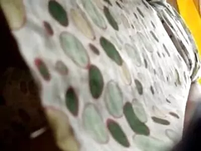 شقراء لاتينا مع الحمار العصير سكس مترجم قديم يحصل غريب مع مطارد لها