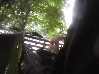 يصل Cameraguy إلى هدفه ويمارس الجنس افلام سكس محارم مترجم مع شقراء جميلة في الغابة