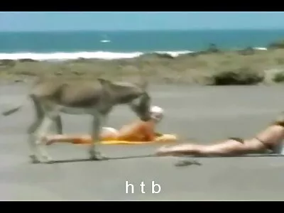 ستيلا كوكس لديها فرصة للهروب من سكس ياباني مترجم عربي السجن بعد قضاء الحاجة